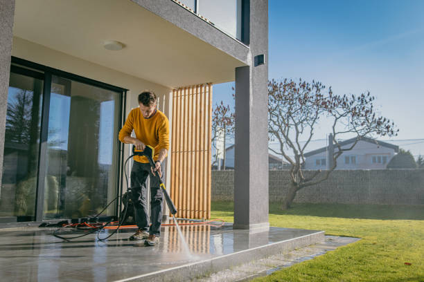Best Soft Washing for Delicate Surfaces in Paloma Creek South, TX