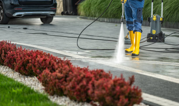 Best Commercial Pressure Washing in Paloma Creek South, TX